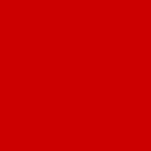 [No swimming flag]