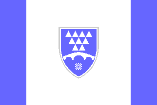 [Canton flag]
