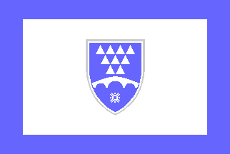 [Canton flag]