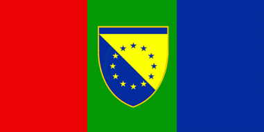 [Proposed flag]