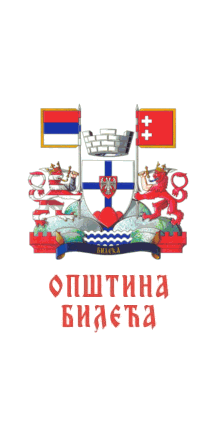 [Municipal flag]