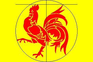 [Construction sheet for the flag]