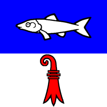 [Flag of B&auml;rschwil]