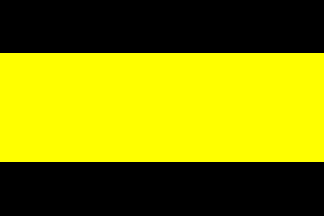 [Coquimbo Unido supporters' flag]