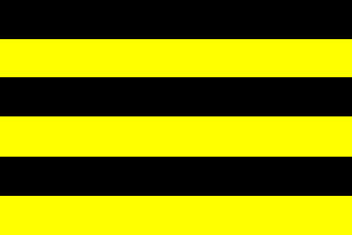 [Coquimbo Unido supporters' flag]