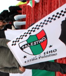 [Club Deportivo Palestino flag]
