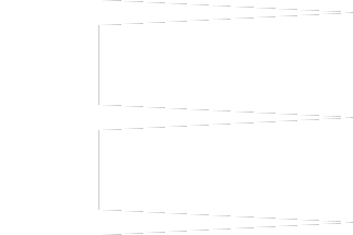 [Chinese flag in 12-15th centuries]