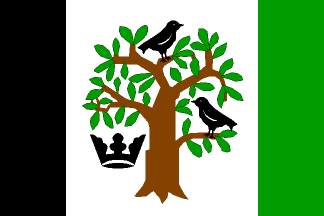 [Krasov flag]