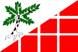 [Březová flag]