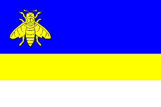 [Staré Těchanovice flag]