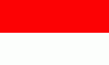 [City of Bad Lippspringe plain flag]