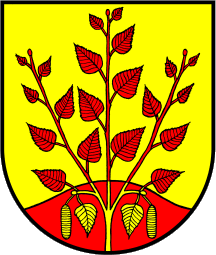 [Berkum borough CoA]