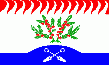 [Heidmoor municipal flag]