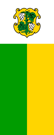 [Dingolshausen municipal banner]