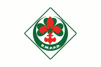 [Scouts]