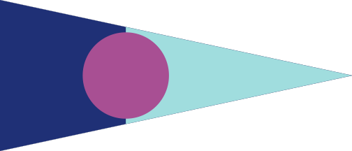 [NRV Elbfreibeuter burgee]