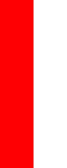 [Tübingen County civil banner]