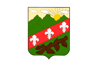 Flag of San Francisco de Macor�s