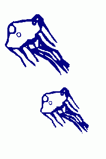 [Flag]