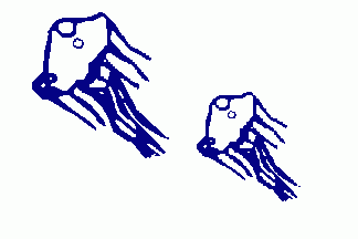 [Flag]