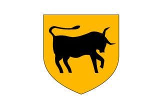 [Flag of Carhaix-Plouguer]