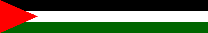 [Flag on painting]
