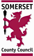 [Somerset County Council Logo #2]
