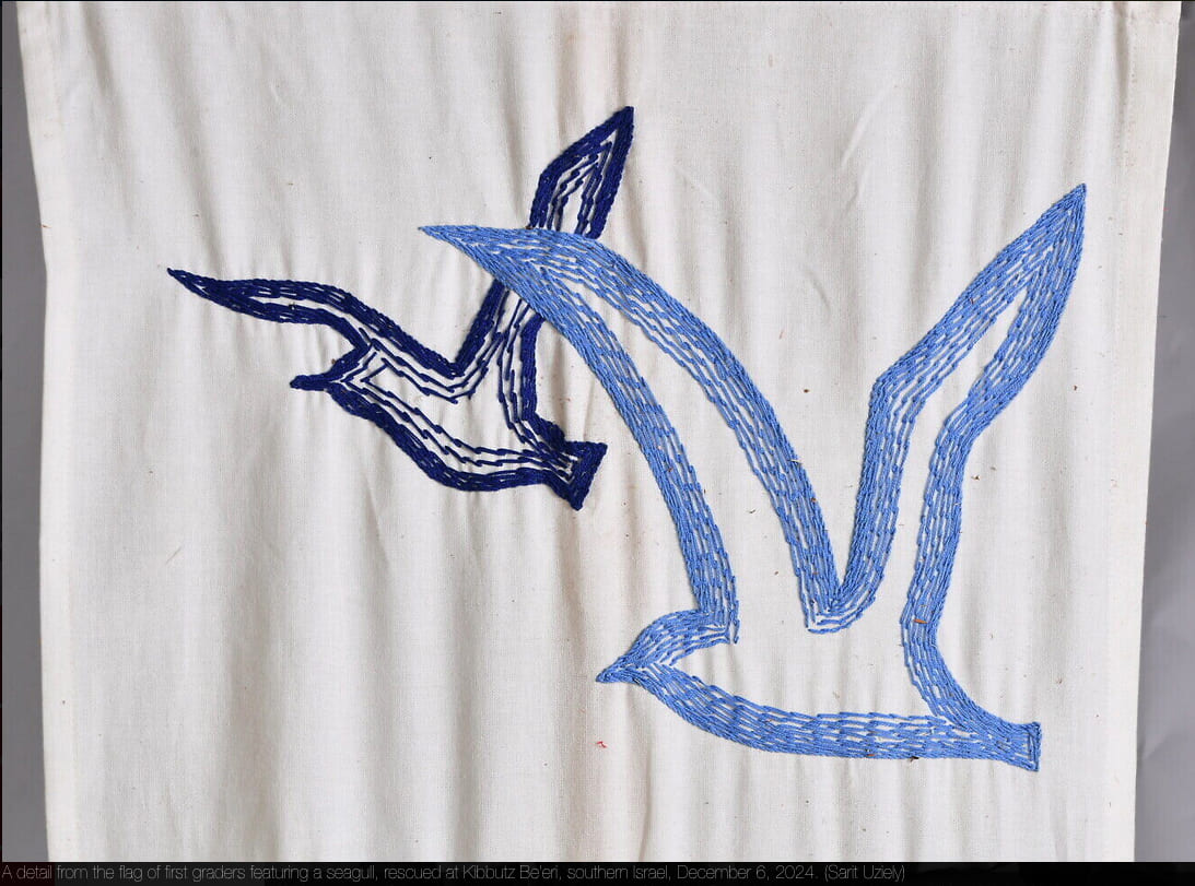 [School banner of Kibbutz Be'eri]