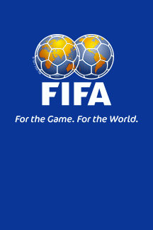 [FIFA vertical-hanging flag.]