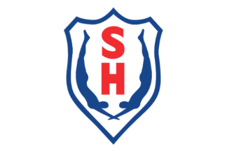[Hafnarfjör&eth;ur Swimming Club flag]