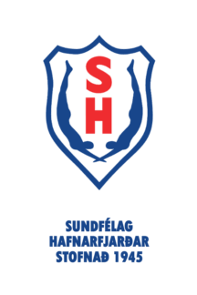 [Hafnarfjör&eth;ur Swimming Club flag]