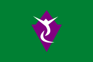 [Matsumoto city flag]
