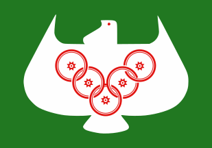 [Japanese Para-Sports Association (former) (Japan)]