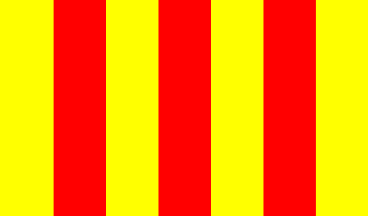 [karting flag - lack of adherence]