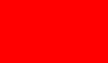 [karting flag - race stop]