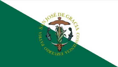 Flag of San Jose de Gracia
