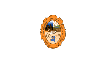 Former flag of San Jose de Gracia