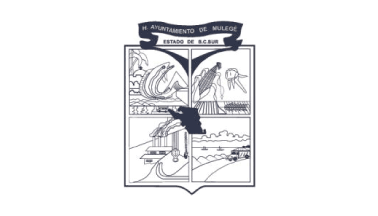 Flag of the municipality of Loreto