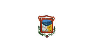 Flag of the municipality of Otaez