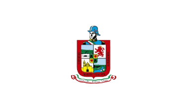 De facto flag of Allende
