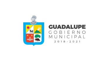Council flag of Guadalupe