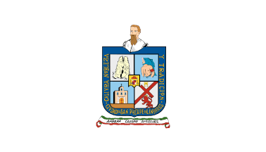 De facto flag of Linares