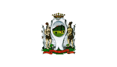 De facto flag of Monterrey
