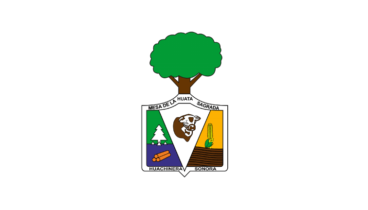 Flag of the municipality of Huachinera