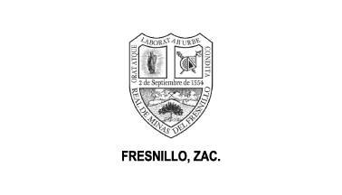 Flag of the municipality of Fresnillo