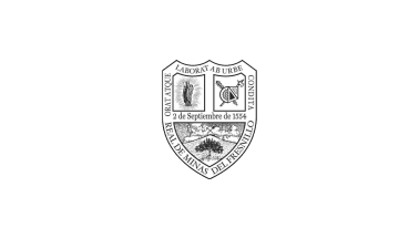 Flag of the municipality of Fresnillo