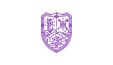 2024-2027 council flag