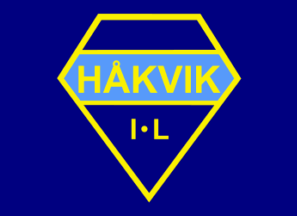 [club flag]