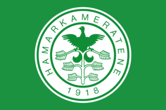[Flag of Hamarkameratene]