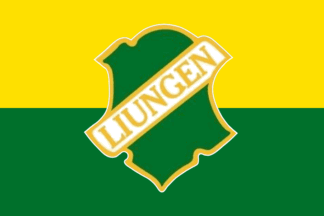 [club flag]